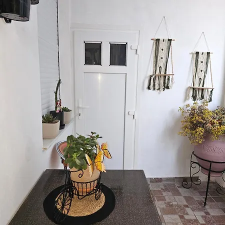 Dimitra's House * 글로사