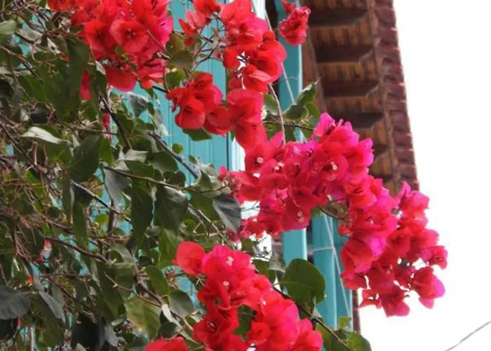 Dimitra's House * غلوسا