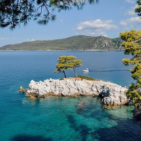 Casa vacanze Dimitra's House *